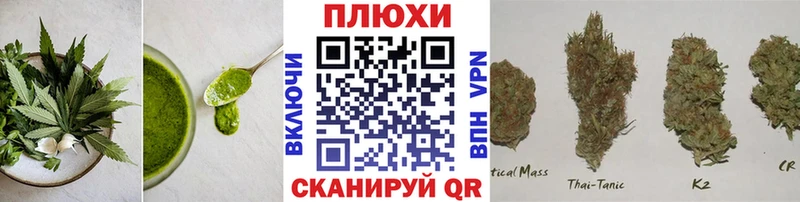 Купить  Шилка  Cannafood марихуана 