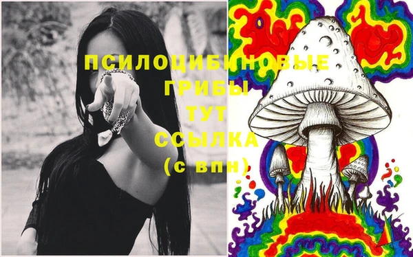 гидра Баксан