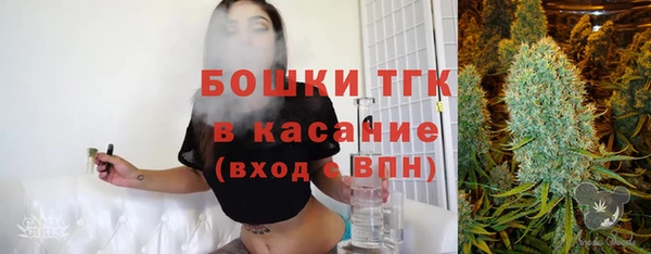 стаф Балахна