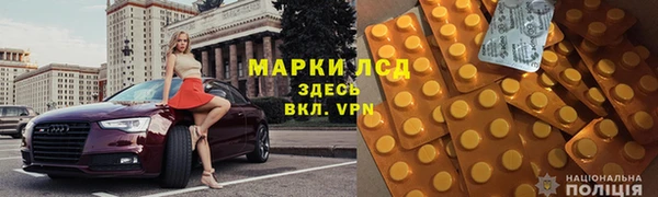 стаф Балахна