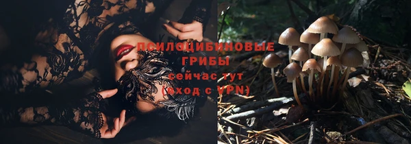 гидра Баксан